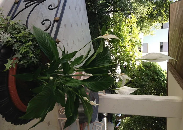 Palace Regina Ξενοδοχείο